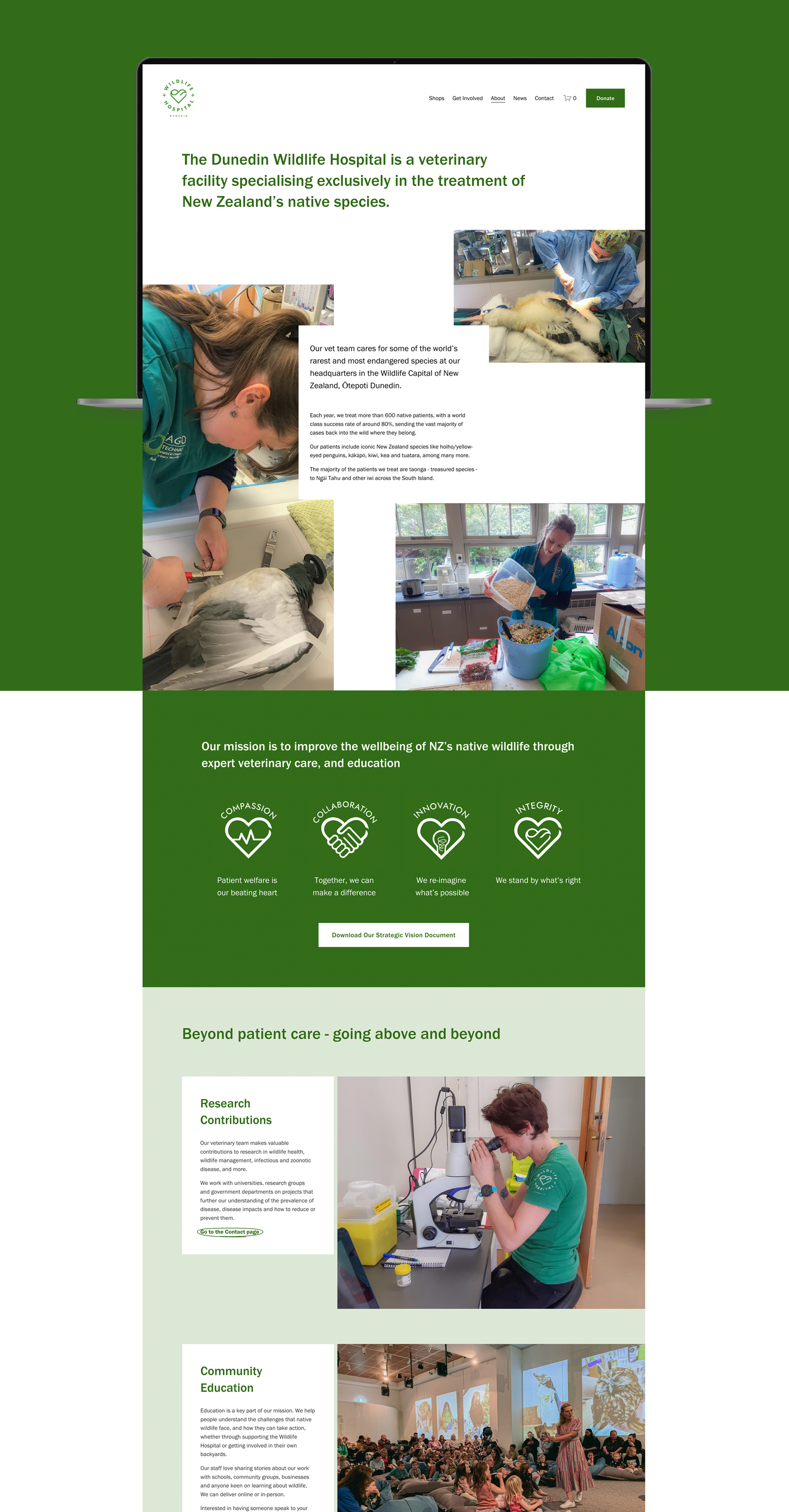 Images of Dunedin Wildlife Hospital work